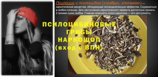 таблы Михайловск