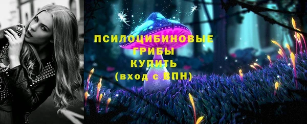 таблы Михайловск